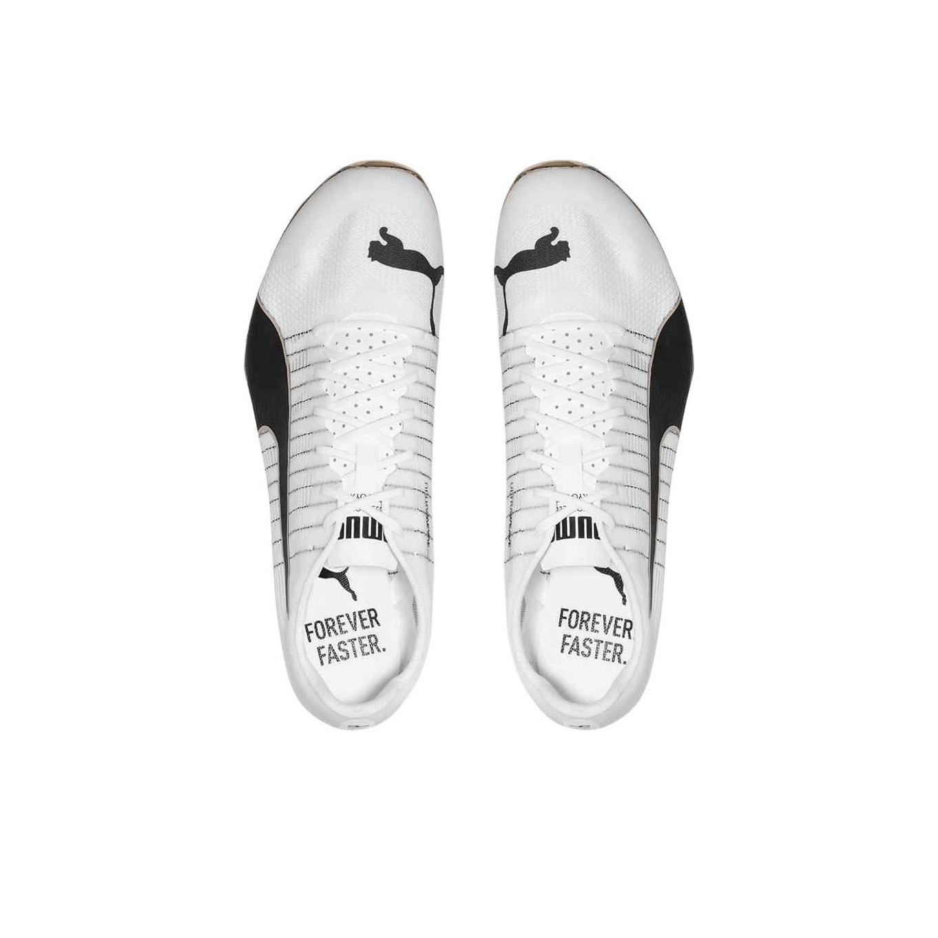 حذاء بوما إيفو سبيد 400 نيترو  - مراجعة Puma Shoes Rs-X وسعره